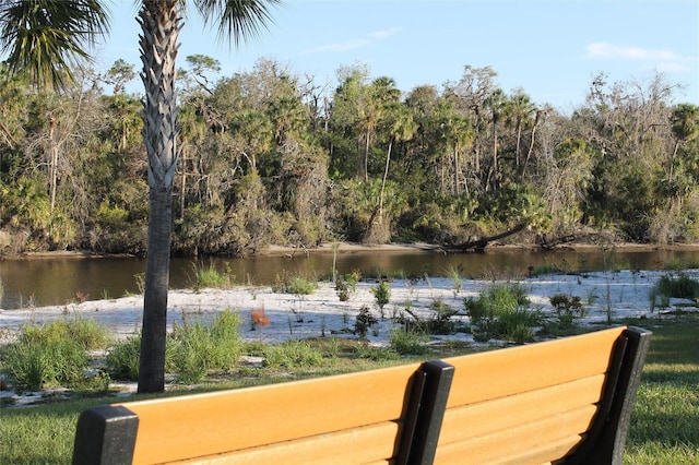 view of water feature featuring a forest view