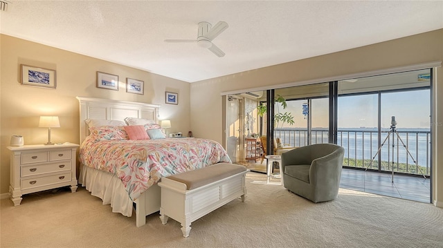 bedroom with light carpet, multiple windows, and access to exterior