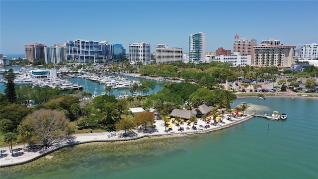 aerial view featuring a water view and a city view