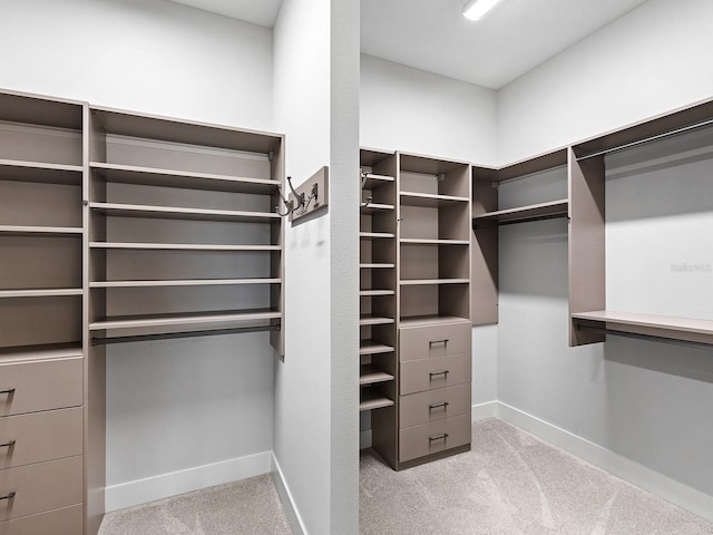 813 Tailwind Pl, Sarasota, FL 34240 - walk in closet with carpet flooring