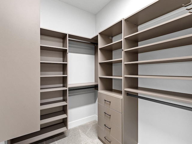 813 Tailwind Pl, Sarasota, FL 34240 - spacious closet with carpet flooring