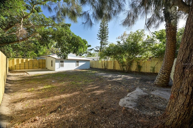 view of yard with a patio and a fenced backyard