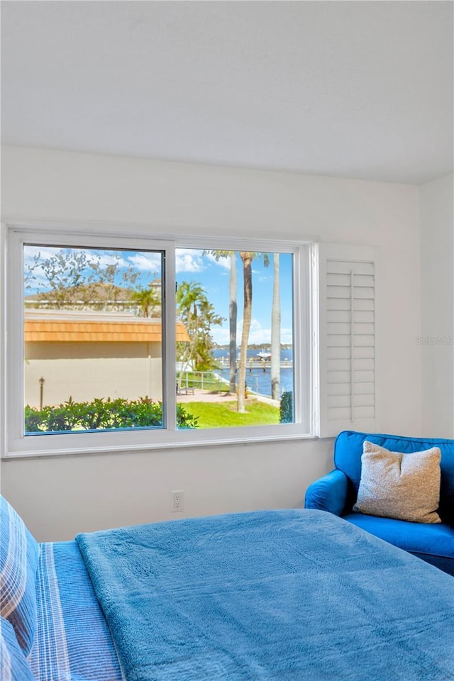 bedroom featuring multiple windows