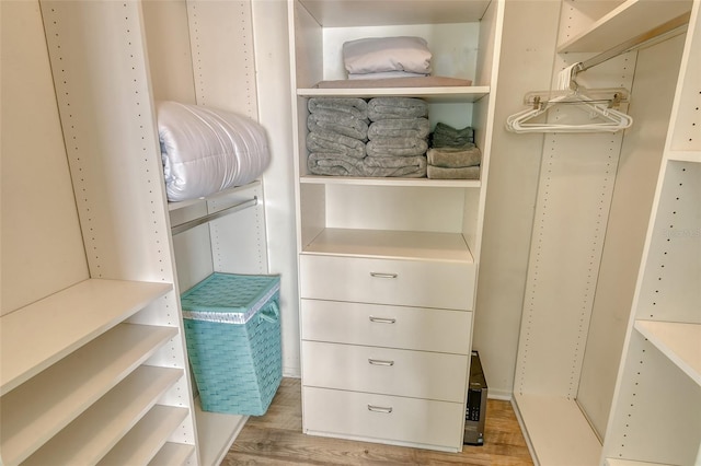 walk in closet featuring wood finished floors