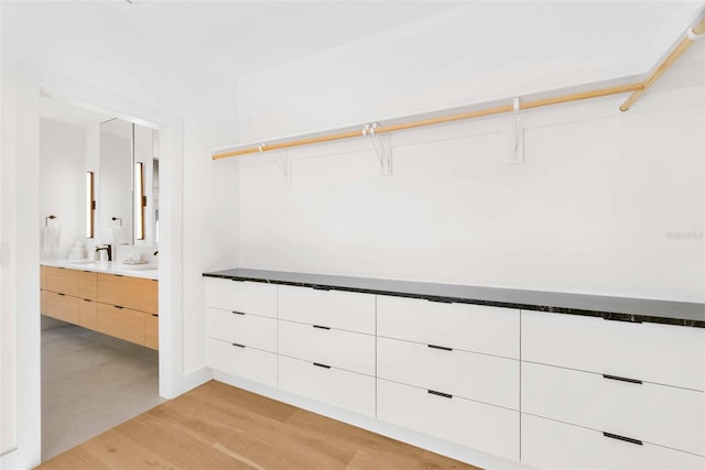 spacious closet featuring light wood-type flooring and a sink