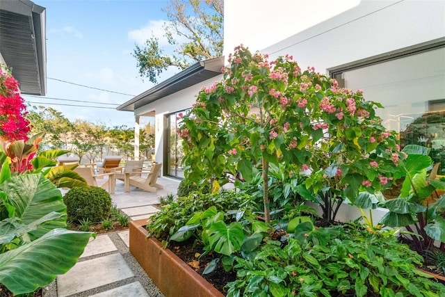 view of yard featuring a patio