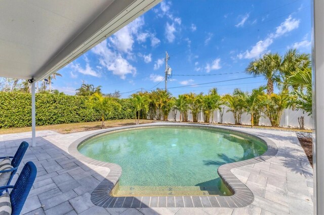 view of swimming pool with a fenced in pool, a patio area, and a fenced backyard