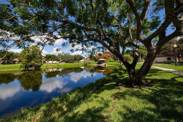 view of water feature