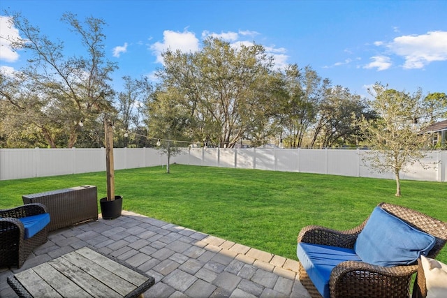 view of yard featuring a fenced backyard and a patio