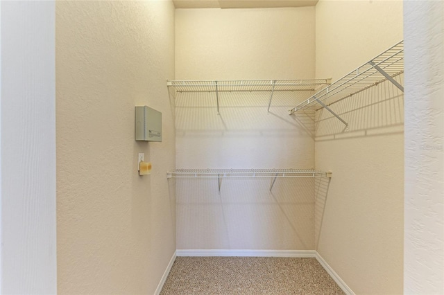 walk in closet with carpet flooring