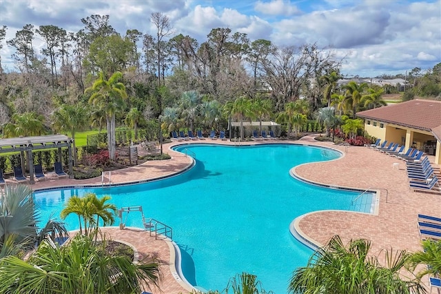 pool with a patio area and a pergola