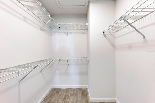 walk in closet featuring wood finished floors