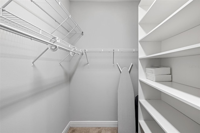 spacious closet featuring carpet flooring