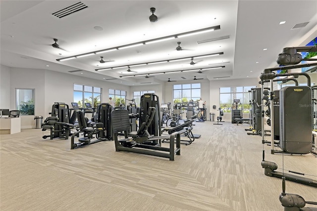 gym featuring carpet and plenty of natural light