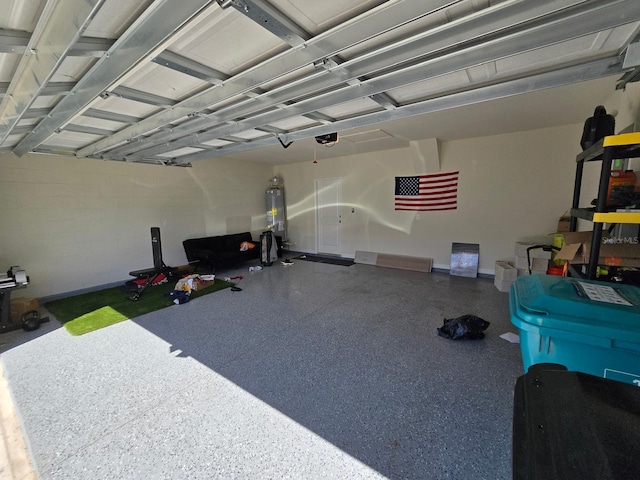 interior space with a garage door opener and gas water heater