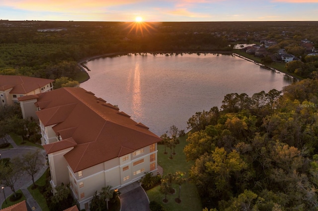 aerial view at dusk featuring a water view