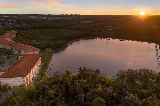 aerial view at dusk featuring a forest view and a water view