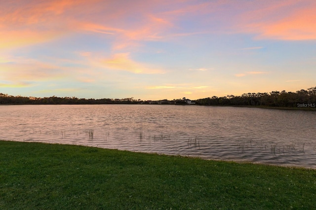 property view of water