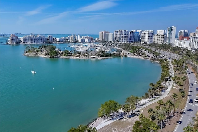 drone / aerial view with a view of city and a water view