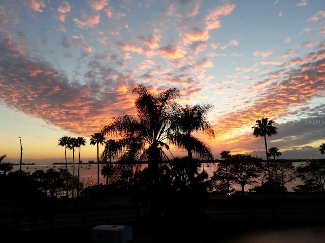 view of nature at dusk