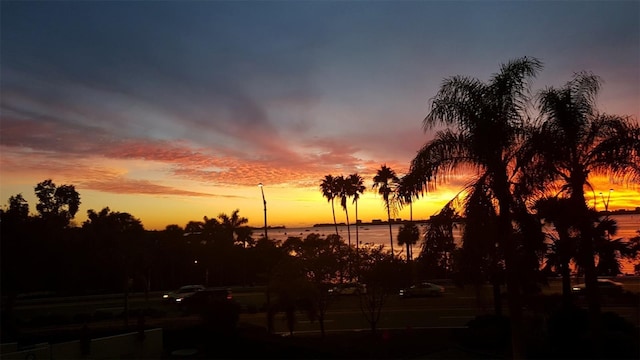 nature at dusk with a water view