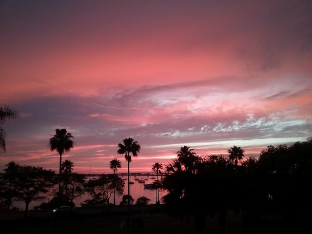 nature at dusk with a water view