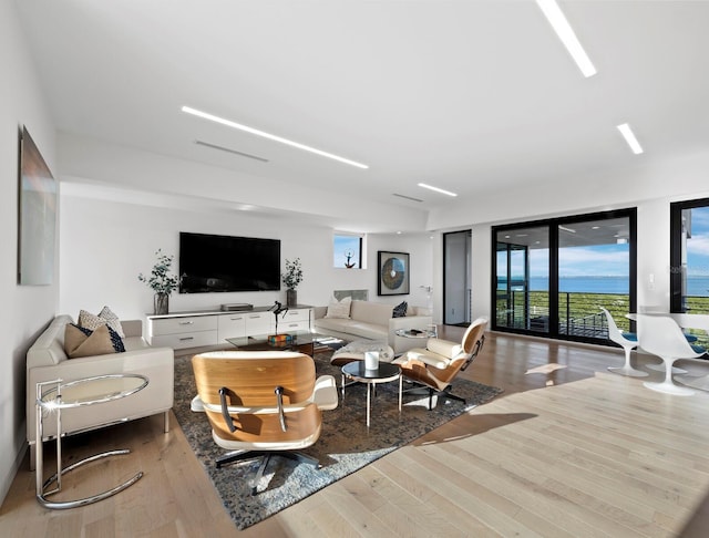 living room with wood finished floors