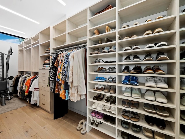 spacious closet featuring light wood-style floors