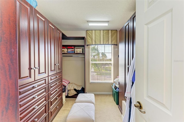 spacious closet featuring light colored carpet