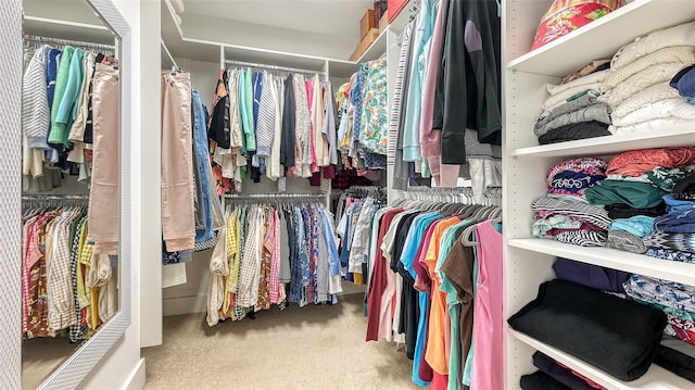 spacious closet featuring carpet flooring