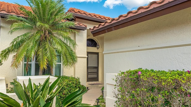 doorway to property featuring stucco siding and a tile roof