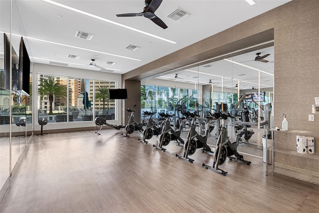 gym featuring visible vents, ceiling fan, and wood finished floors