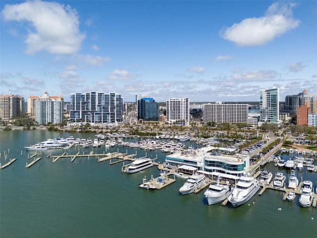 aerial view with a water view and a city view