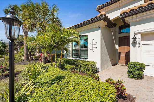 doorway to property with stucco siding and a tiled roof