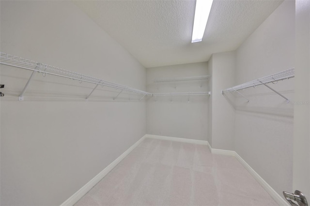 walk in closet with light colored carpet