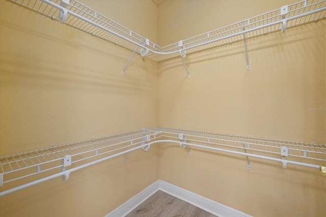 spacious closet with wood finished floors