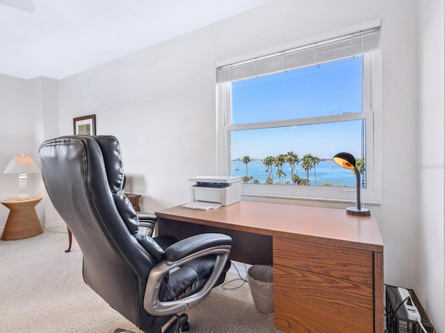 view of carpeted office