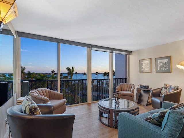 living room featuring floor to ceiling windows and wood finished floors