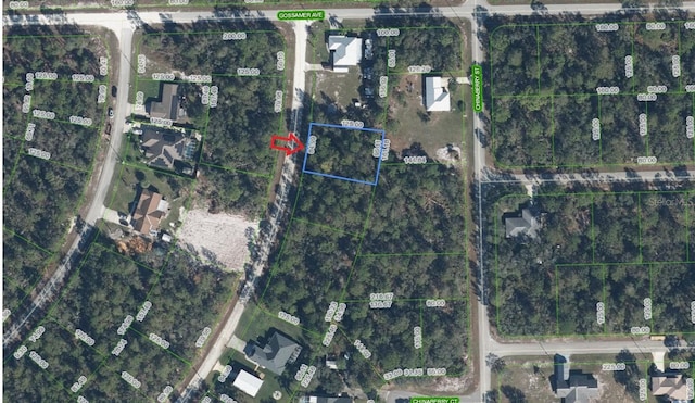 947 Cork Tree Rd, Lake Placid FL, 33852 land for sale