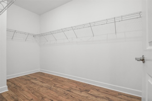 walk in closet featuring dark wood finished floors