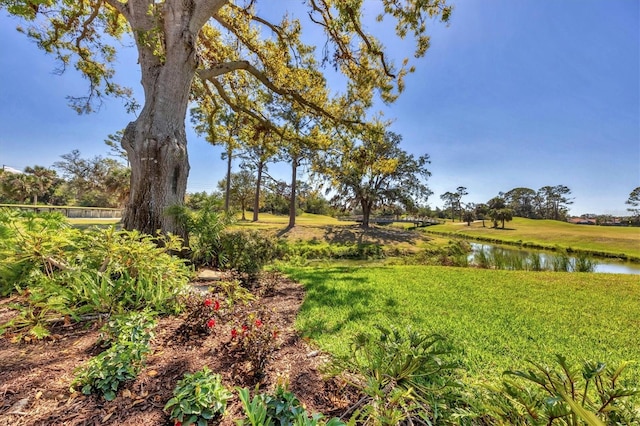 view of yard with a water view