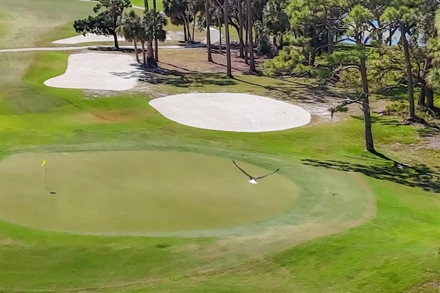 view of property's community with golf course view