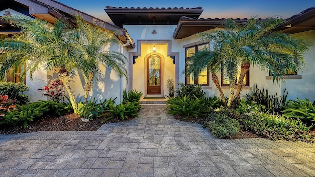 view of exterior entry with stucco siding