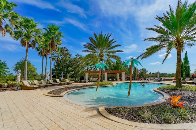 pool featuring a patio area