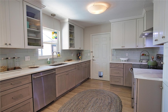 kitchen with light wood finished floors, stainless steel dishwasher, stove, a sink, and under cabinet range hood