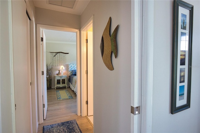 corridor featuring light wood-type flooring, visible vents, and crown molding