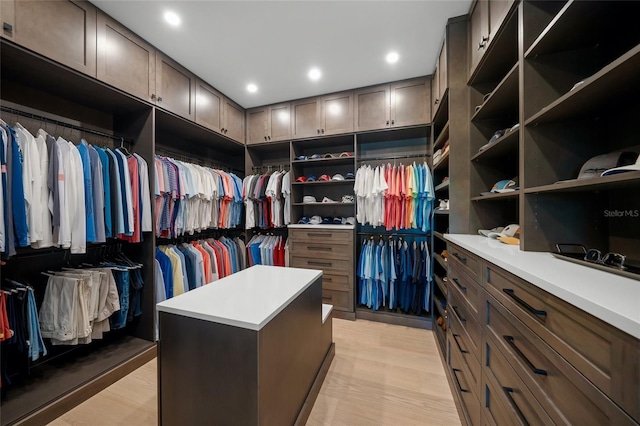 spacious closet featuring light wood-style flooring