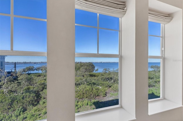 room details with a water view