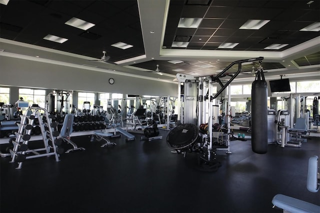 workout area featuring ceiling fan, a drop ceiling, and plenty of natural light