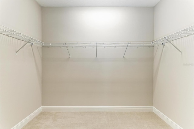 995 Waterline Ct, Sarasota, FL 34240 - spacious closet with light carpet